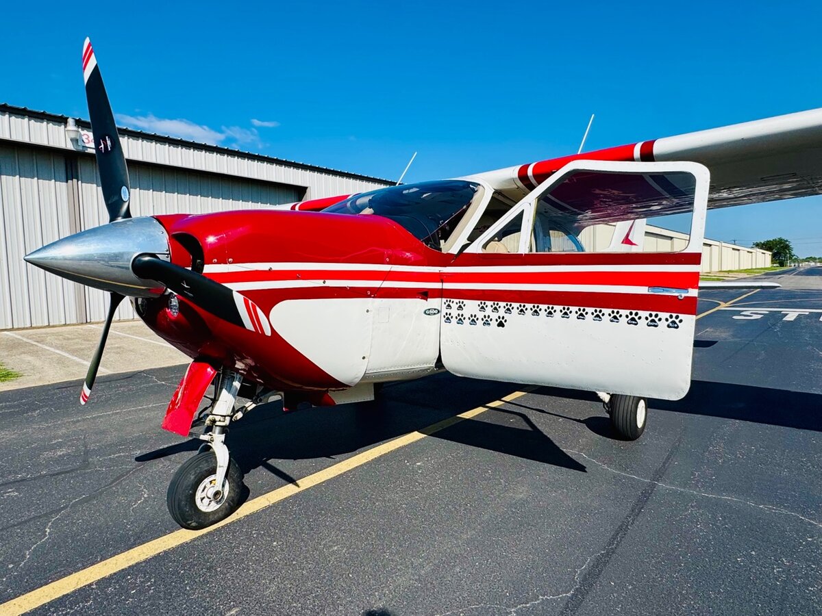 Hope — Cessna Cardinal RG with paw print decals