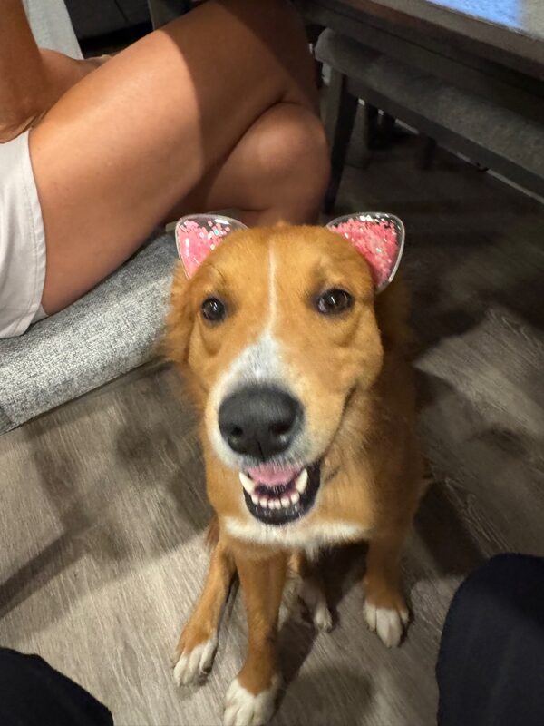 Mae and Sprinkles together