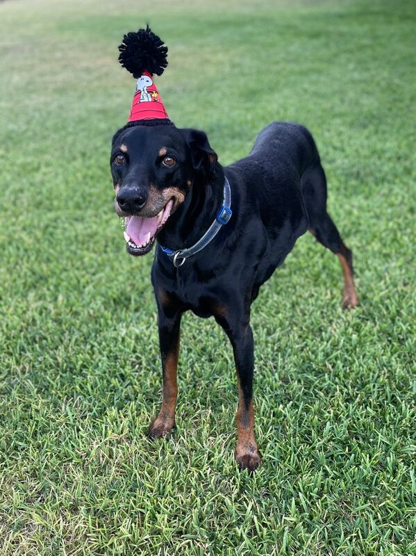 Malachi with birthday hat