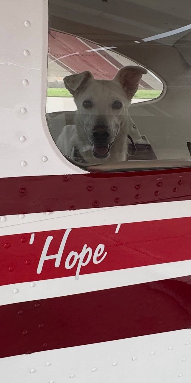 Raina looking out from Hope, the rescue plane